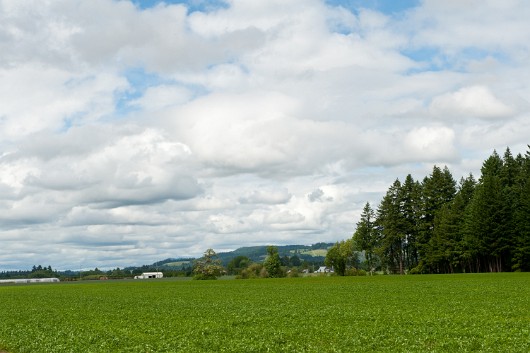DSC_4481