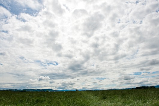 DSC_4482