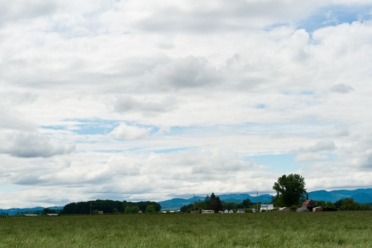 DSC_4483