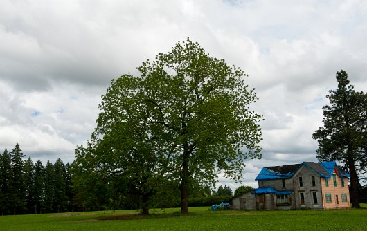DSC_4486