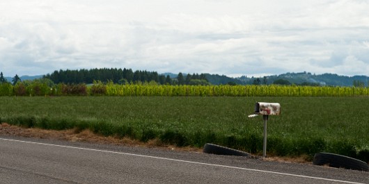 DSC_4495