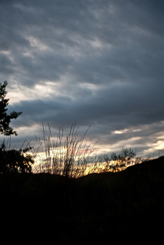 DSC_1362