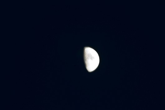 DSC_5984