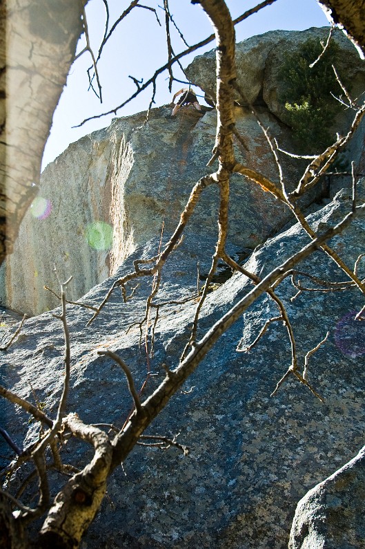 DSC_69183615