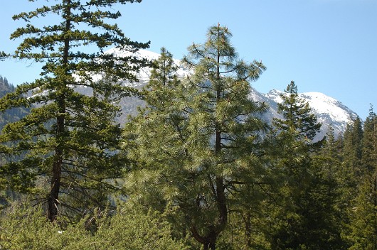 DSC 32350028
