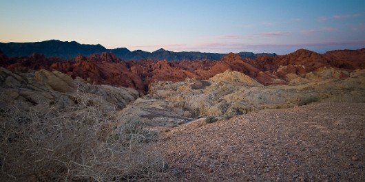 _DSC5720