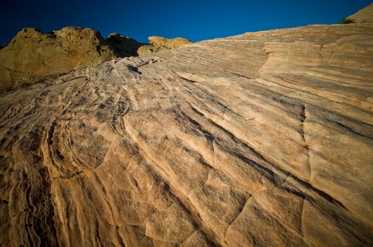 _DSC5800