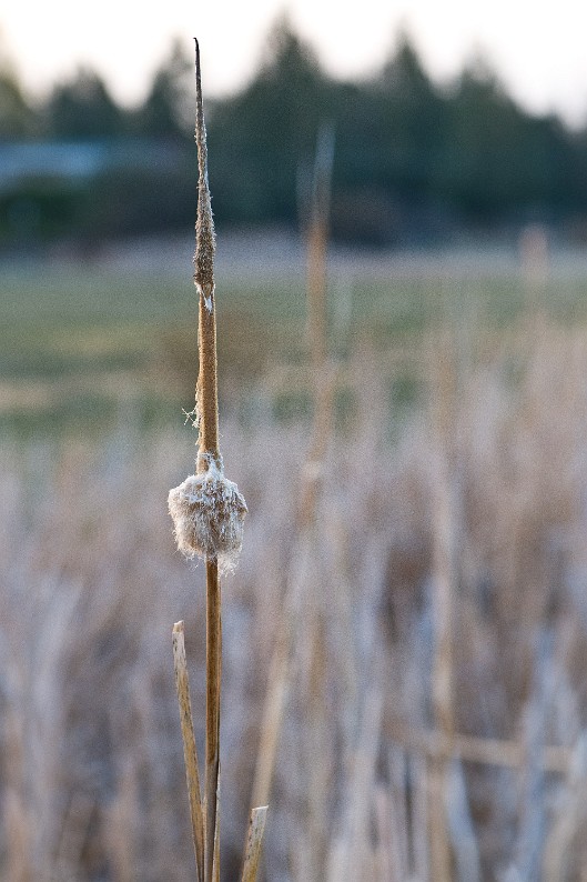_DSC8027