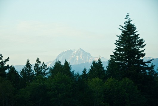 DSC_0007