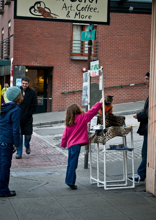 DSC_1279