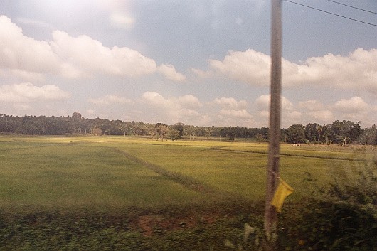 AA005