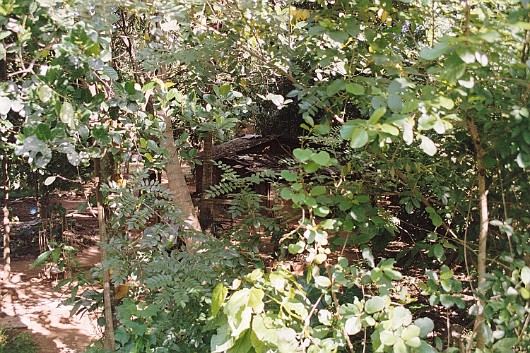 AA013