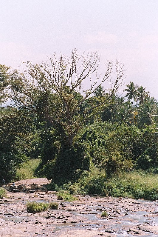 AA008