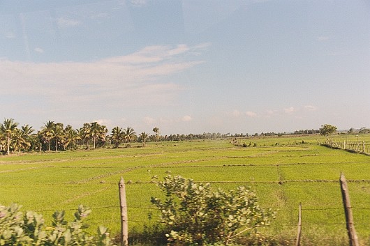 AA003