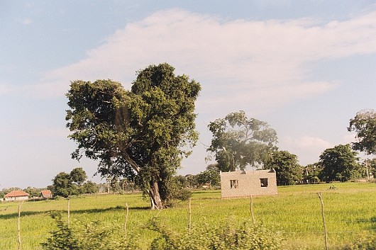 AA005