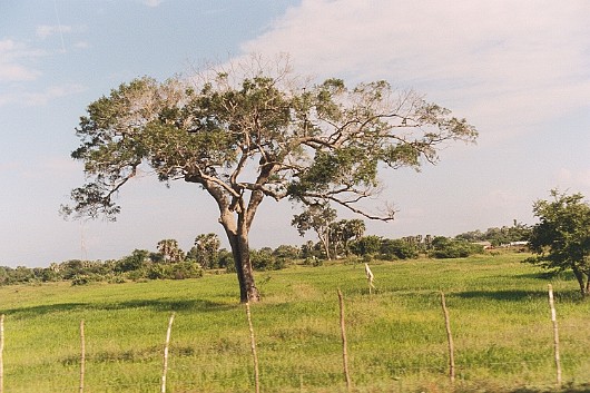 AA006