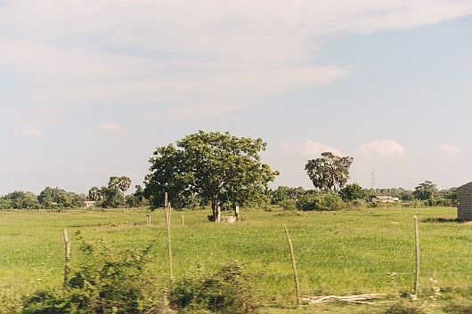 AA007