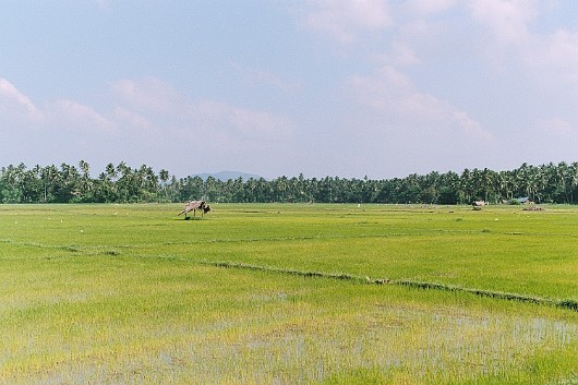 AA006