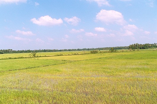 AA007