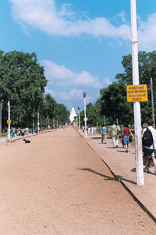 AA010