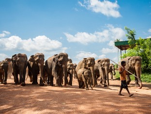 Sri Lanka