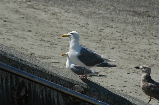 Img0004