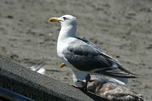 Img0005