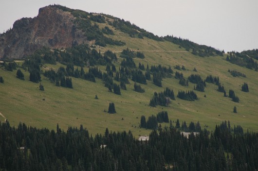 Rainier0275DSC_0011