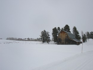 Day 4
