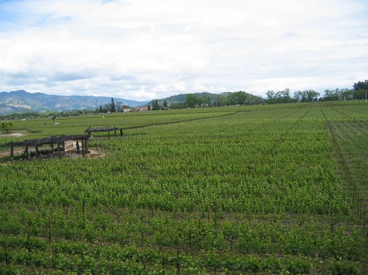 011-mondavi