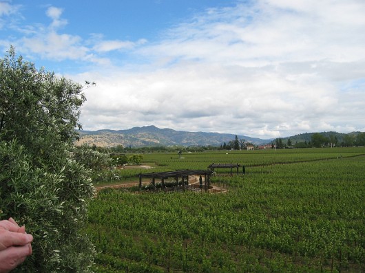 012-mondavi