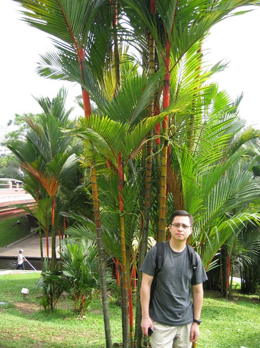 KL-018