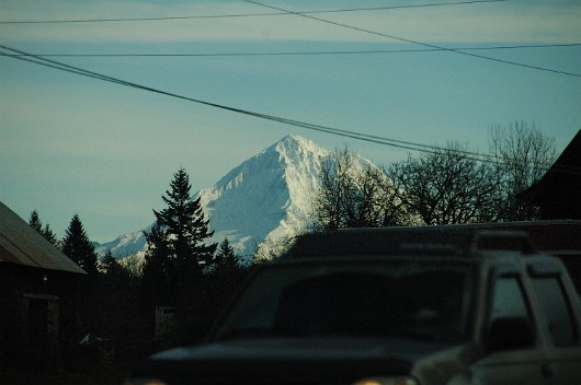 DSC_40220004