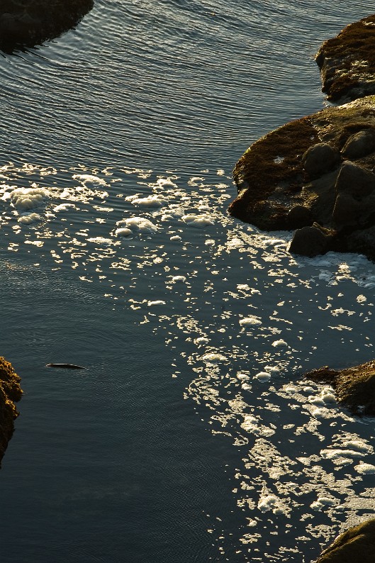 DSC_5275
