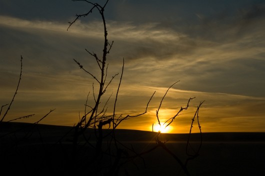 DSC_5614