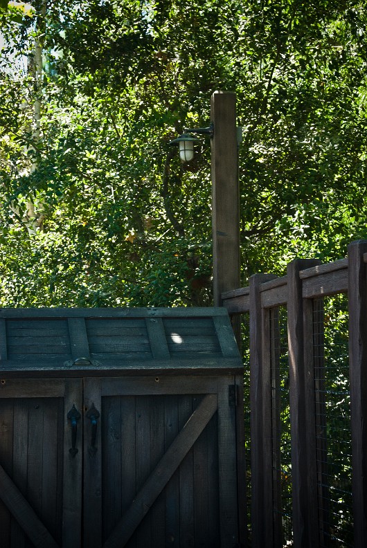 _DSC1430