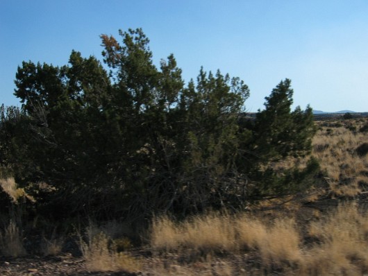 az_0013_Waputki