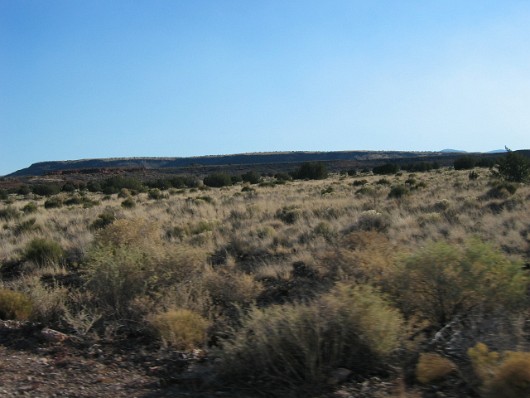 az_0014_Waputki