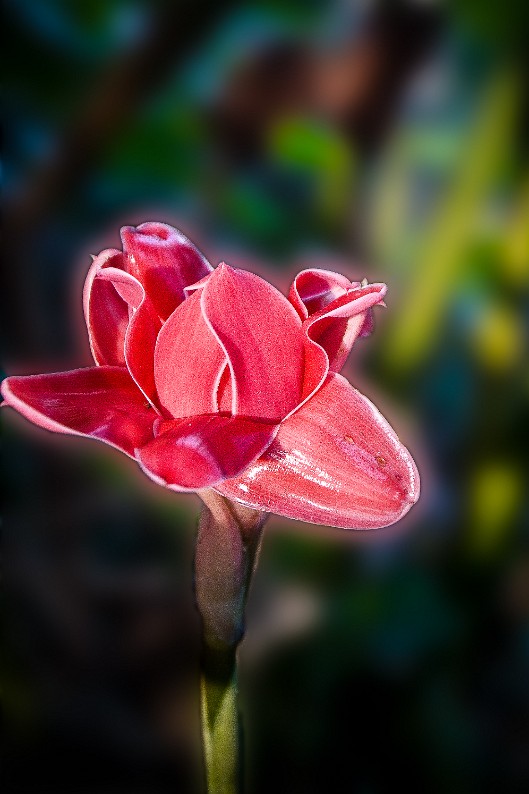 DSC_3439-Edit