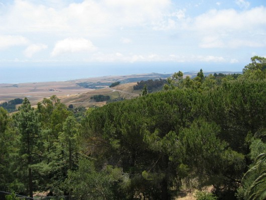 Hearst_0005