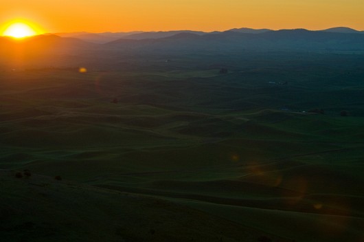 _DSC8533