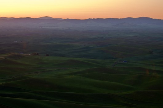 _DSC8534