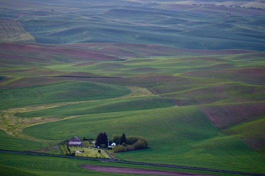 _DSC8535