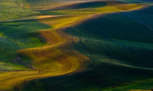 _DSC8548