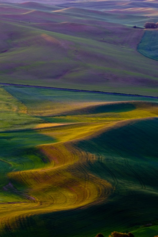_DSC8549