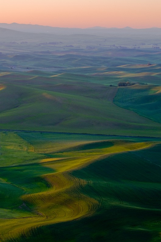 _DSC8550