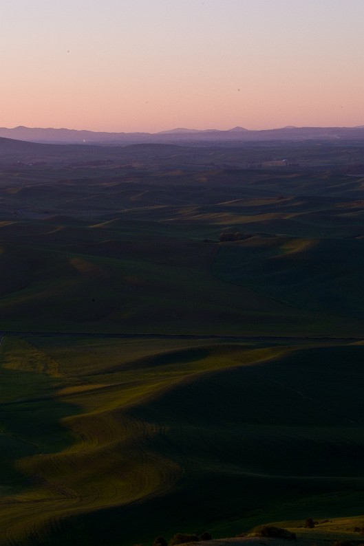 _DSC8559