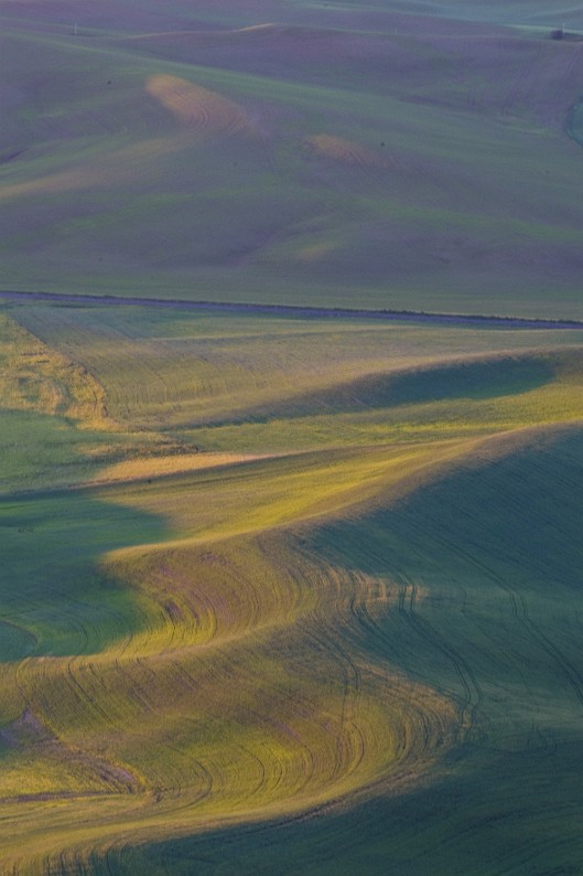 _DSC8560