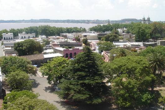 DSC02823