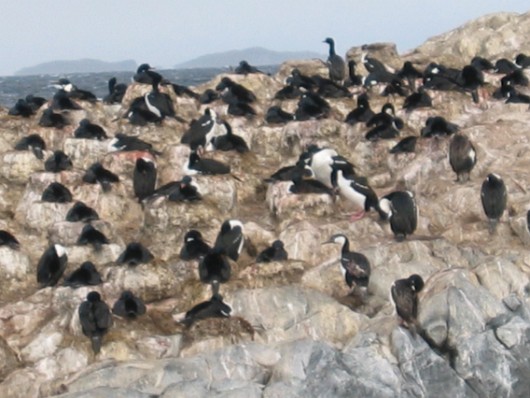 Argentina_0068